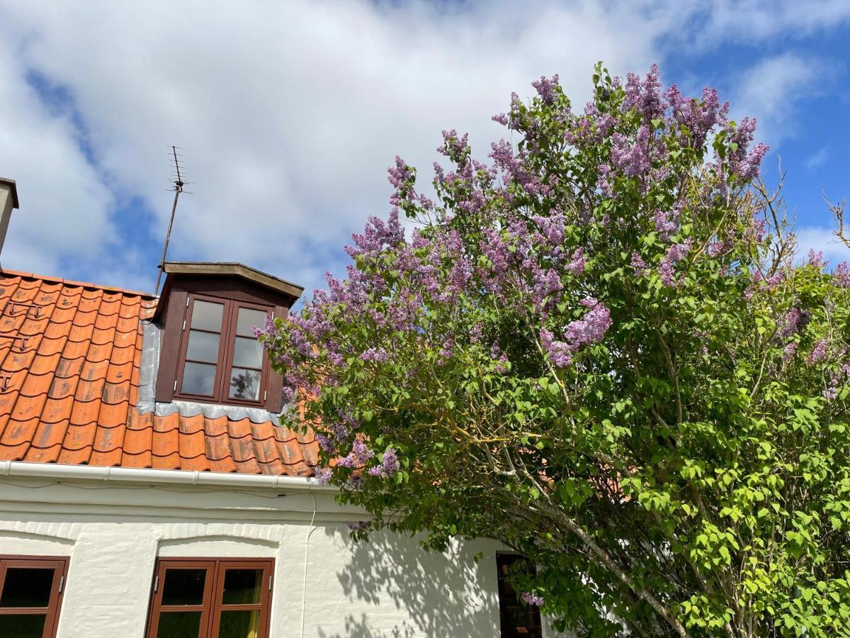 A True Nature Pearl In Idyllic Surroundings But Close To The City Holbæk Buitenkant foto